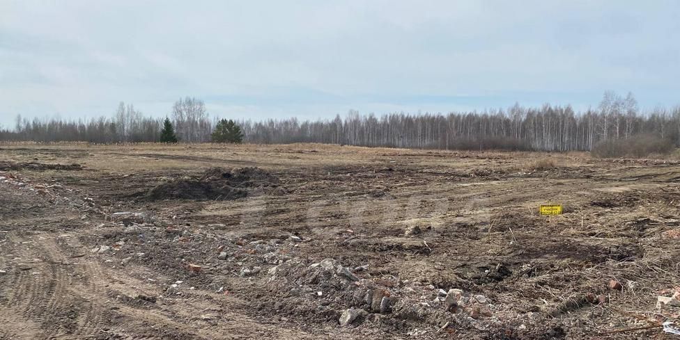 земля г Тюмень тракт Салаирский 14й километр, Тюменский р-н фото 5