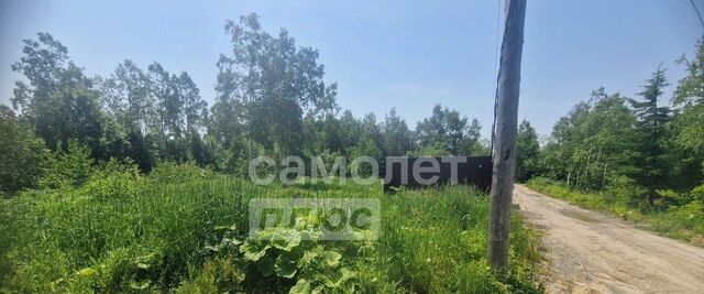 снт Дельфин 31 фото