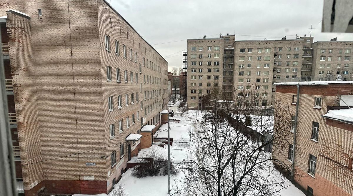 комната г Санкт-Петербург метро Площадь Мужества пр-кт Непокорённых 8 фото 11