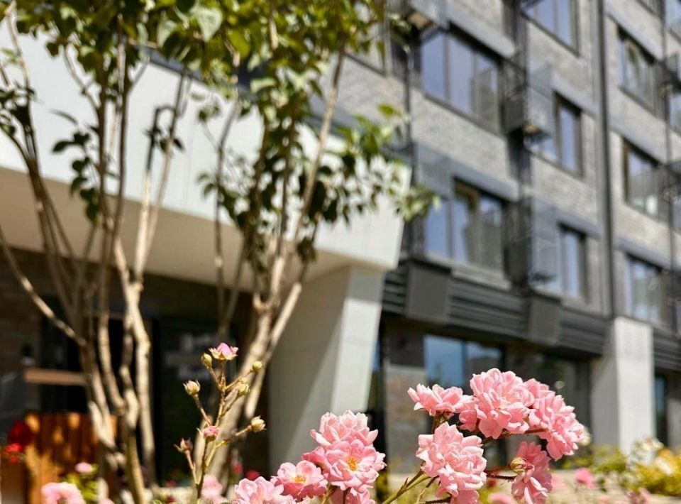 квартира г Краснодар р-н Центральный ул Обрывная 132 фото 11