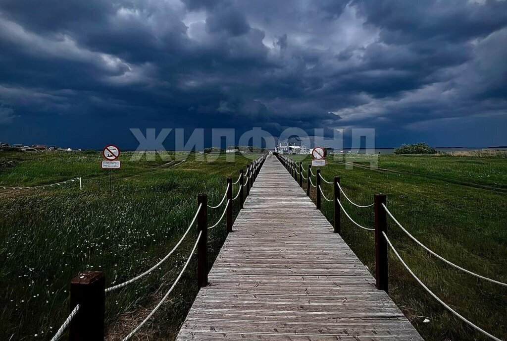 земля р-н Ордынский с Новопичугово фото 8