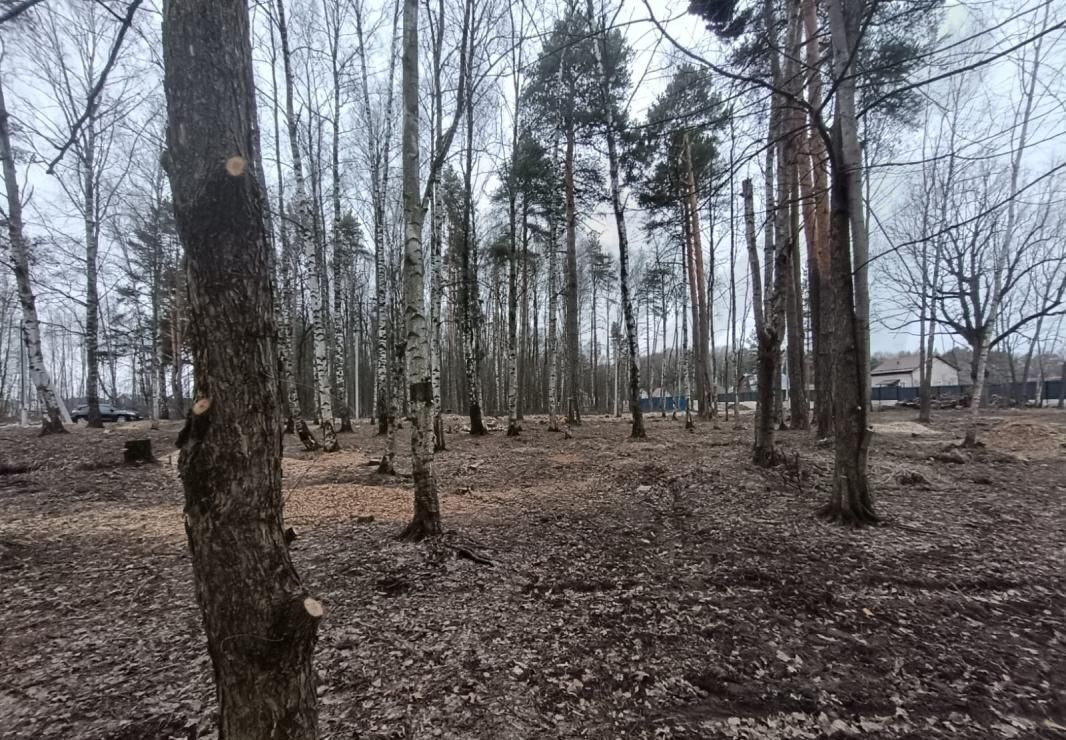 земля городской округ Богородский г Ногинск ул Ясеневая 3 40 км, Горьковское шоссе фото 1