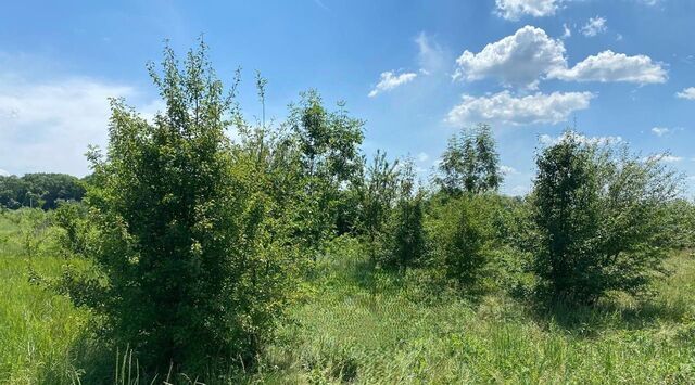 ст-ца Новодмитриевская тер ТОО (Новодмитриевское) ул Куйбышева 64 с пос фото