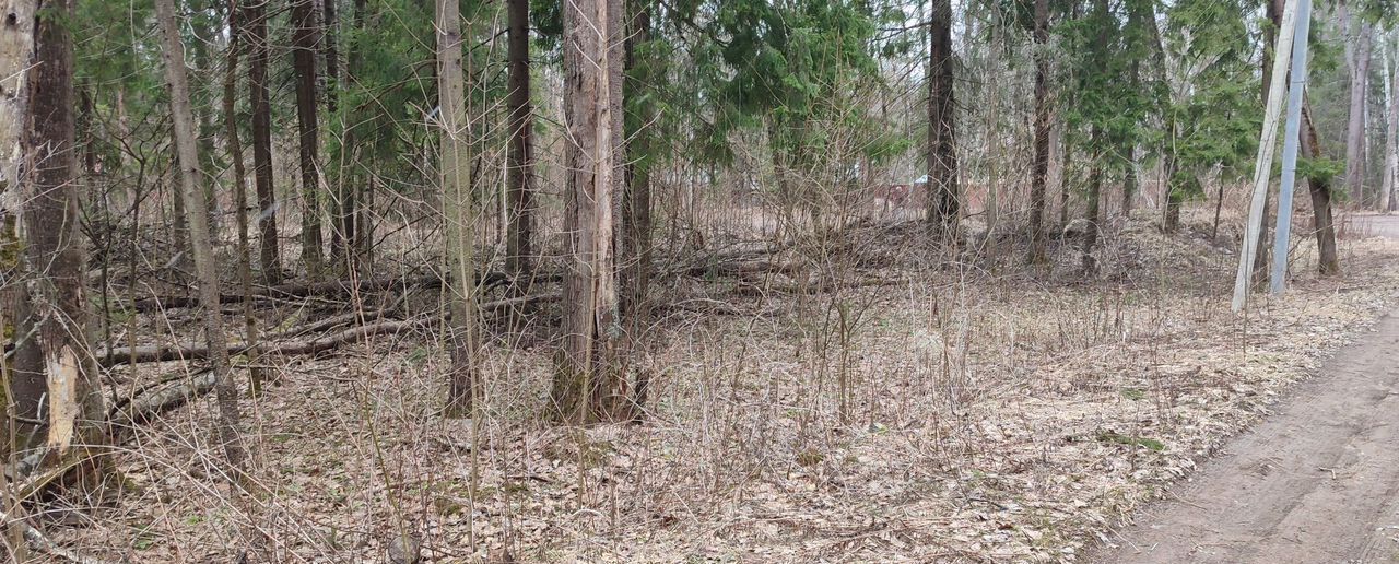земля городской округ Сергиево-Посадский г Хотьково тер ДПК Весна ул Пробуждения 47 км, Ярославское шоссе фото 1