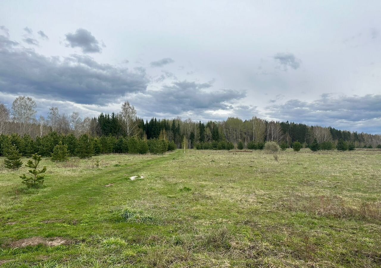земля г Березовский ДНТ Станица, Забайкальская ул., 6, Екатеринбург фото 4
