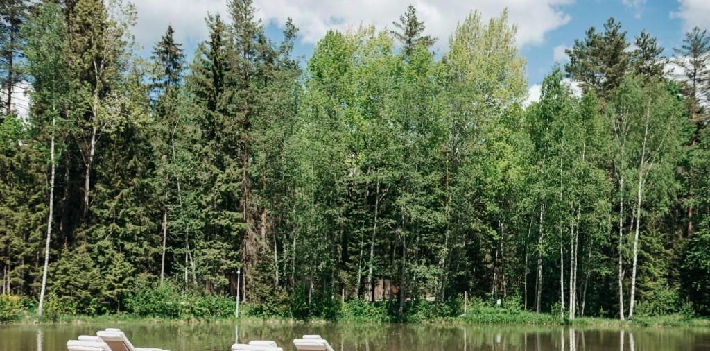 комната г Коломна снт Новое Клин городской округ фото 45