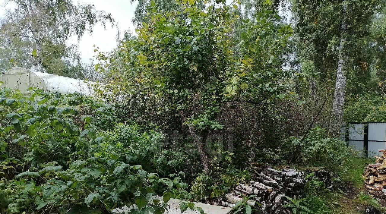 дом г Красноярск р-н Октябрьский снт Березка 54 фото 7
