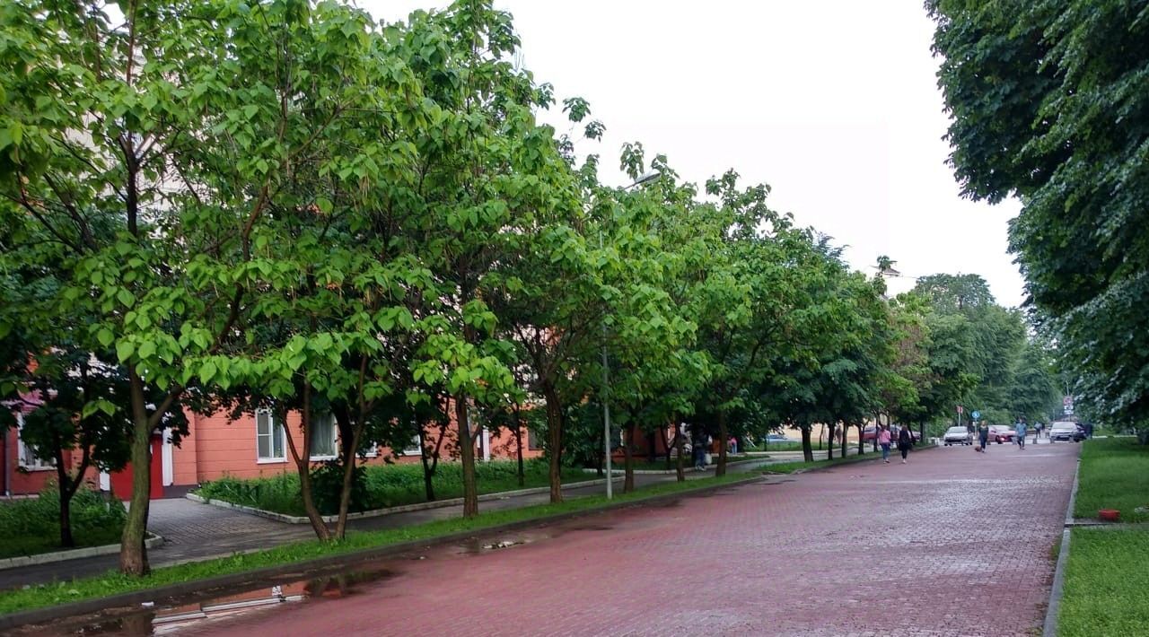 квартира г Воронеж р-н Центральный ул Карла Маркса 94 фото 1