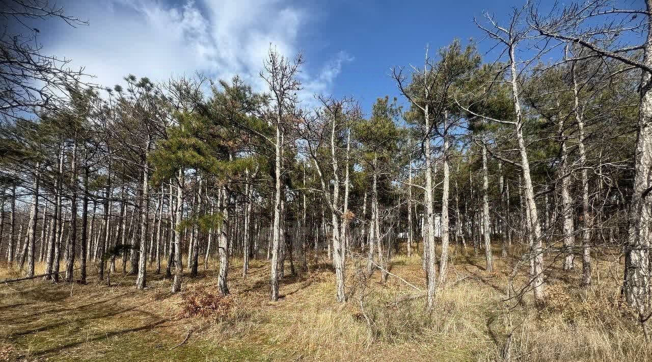 земля г Алушта п Семидворье фото 9