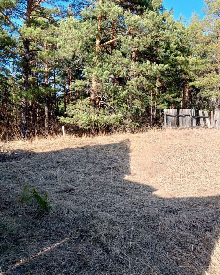 земля г Минусинск снт Автомобилист городской пос. Зелёный Бор фото 1