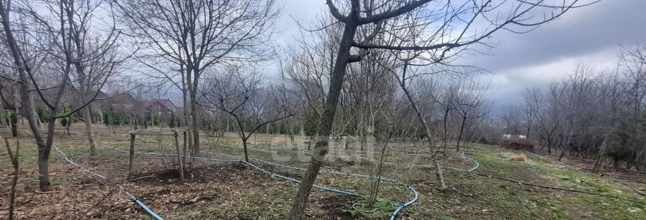 земля г Новороссийск с Борисовка ул Солнечная фото 5