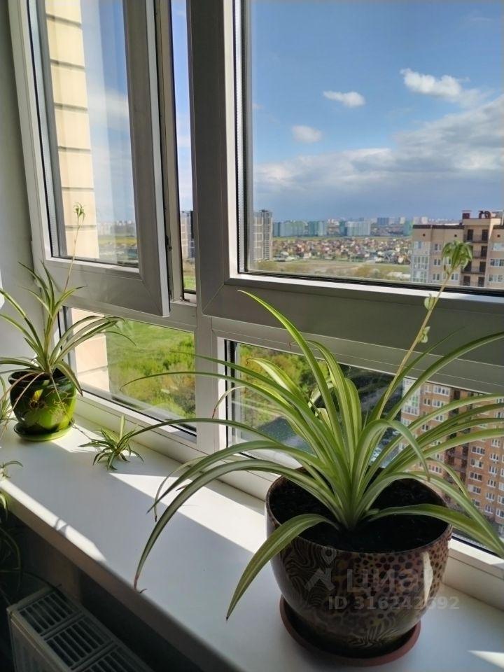квартира г Краснодар р-н Прикубанский мкр Любимово 18/1 фото 10