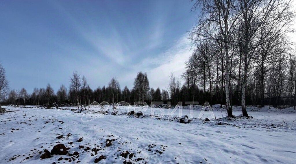 земля г Тюмень р-н Ленинский снт Яровское ул. Сливовая, 19 фото 3