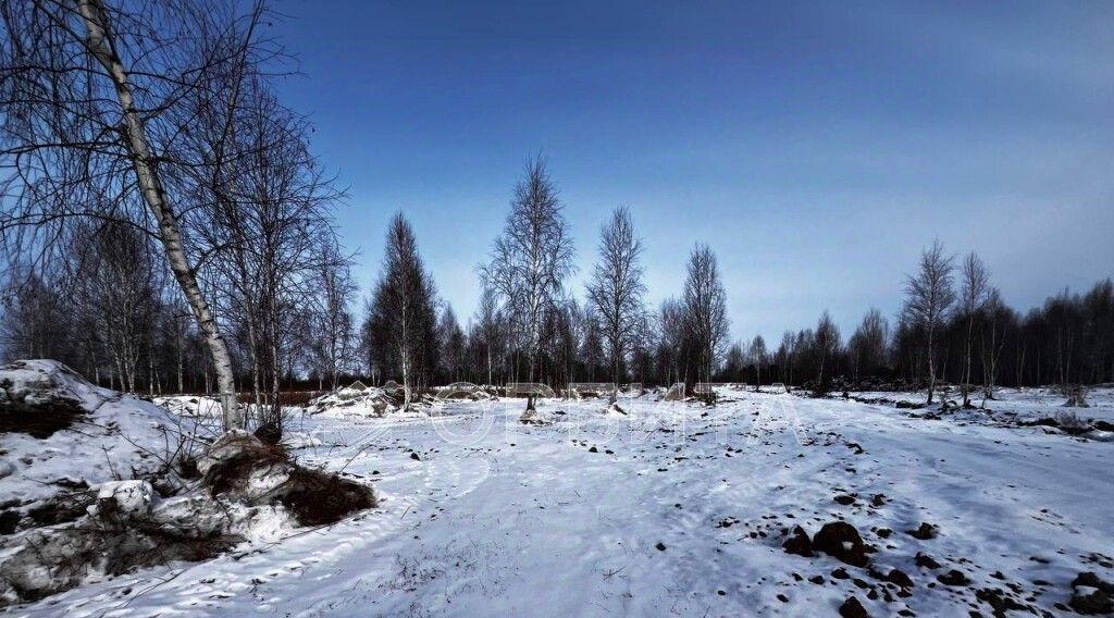 земля г Тюмень р-н Ленинский снт Яровское ул. Сливовая, 19 фото 6