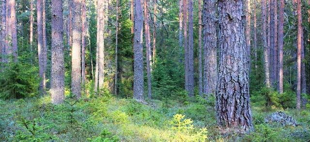 ул Магистральная фото