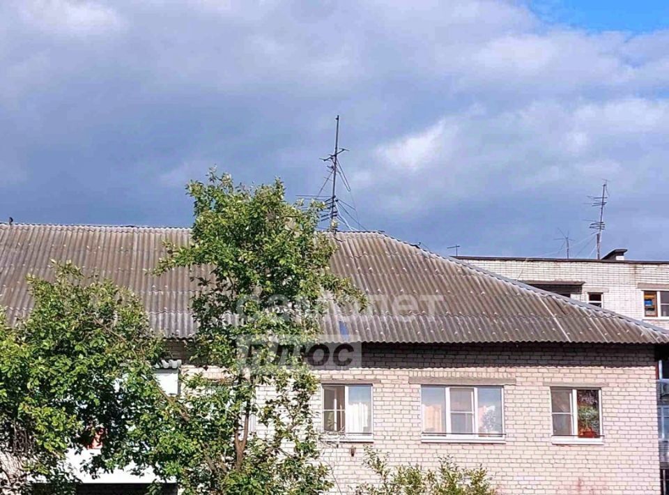 квартира г Нижний Новгород п Мостоотряд Парк культуры 10А фото 23