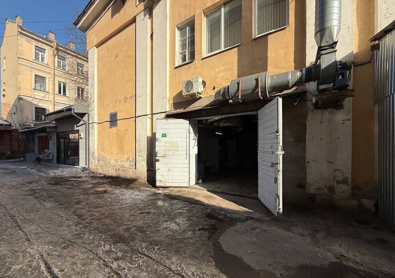 свободного назначения г Санкт-Петербург метро Горьковская пр-кт Каменноостровский 10б округ Кронверкское, Петроградка фото 1