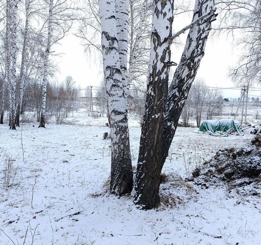 ул Рабочая 2а Шуваевский сельсовет, Красноярск фото