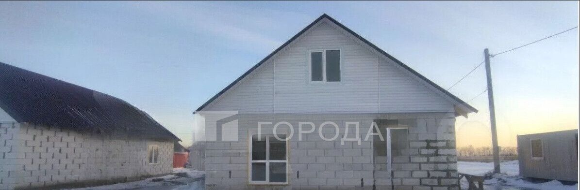 дом г Барнаул п Центральный ул Солонешенская Благодатное фото 3