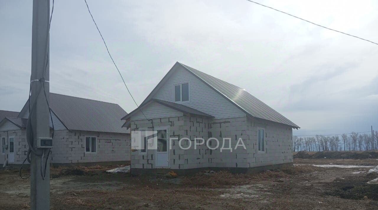 дом г Барнаул п Центральный ул Солонешенская Благодатное фото 4