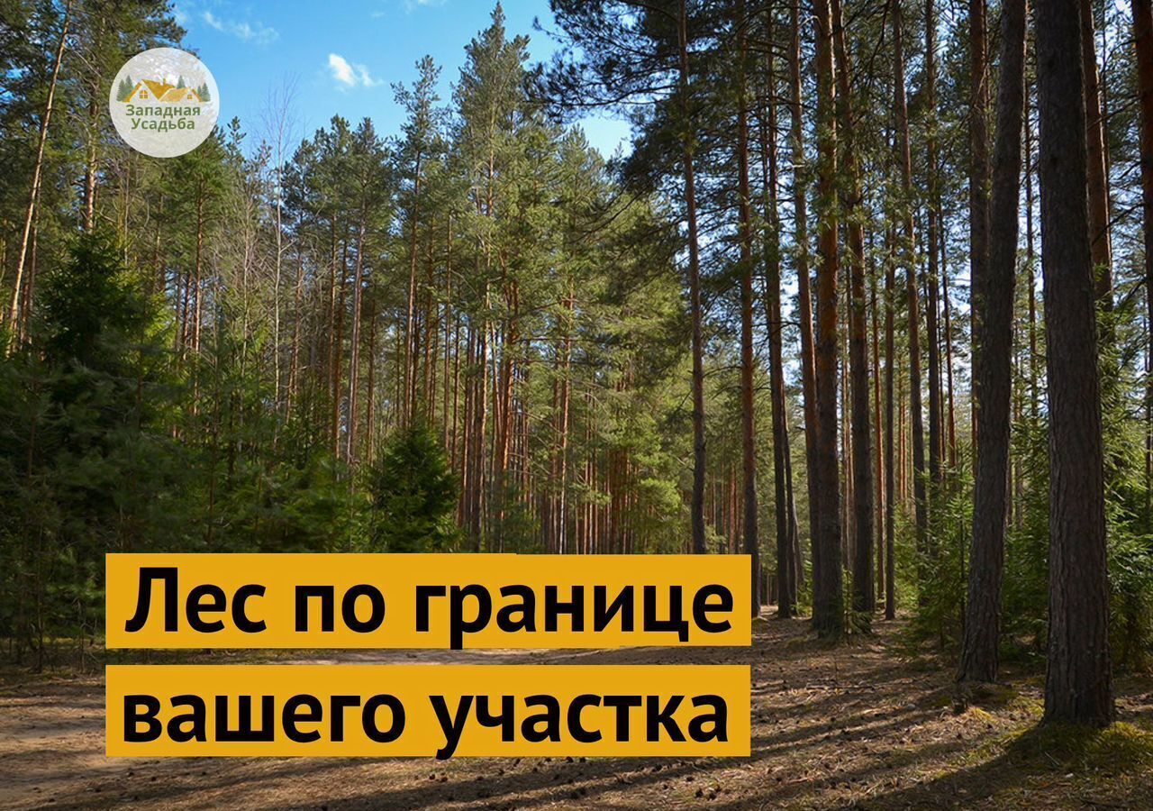земля городской округ Одинцовский г Звенигород 33 км, Ильинское шоссе фото 2