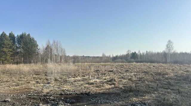снт Березка фото
