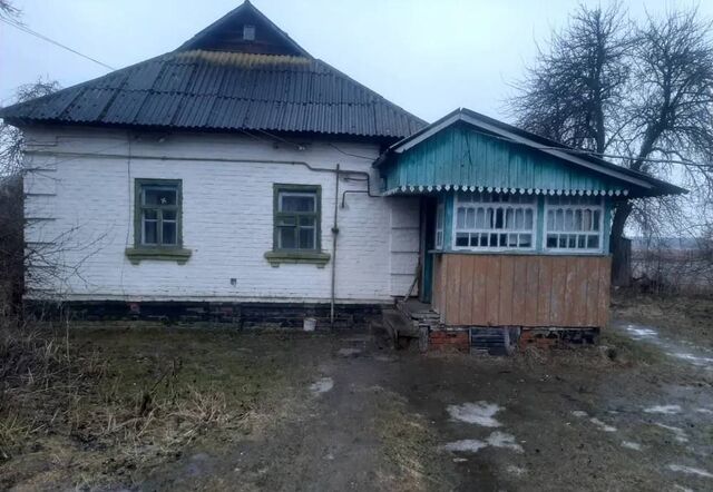 ул 1-я Луговая фото