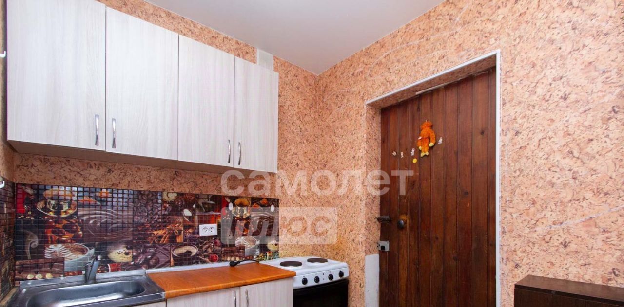 квартира г Томск р-н Кировский Мокрушинский ул Мокрушина 3 фото 7