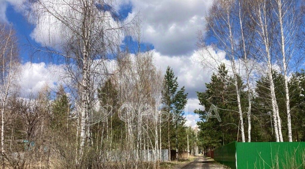 земля г Тюмень р-н Центральный снт Поле чудес ул Зеленая фото 3