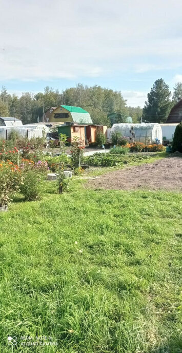 дом г Новосибирск р-н Первомайский НСТ Черёмушки фото 10