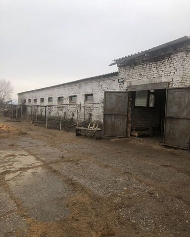 п Светлый ул Западная 1 муниципальное образование Андреевское, Александров фото