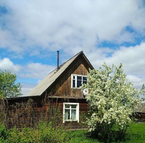 д Звоны фото