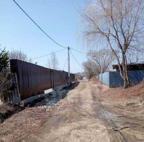Ольха садовое товарищество фото
