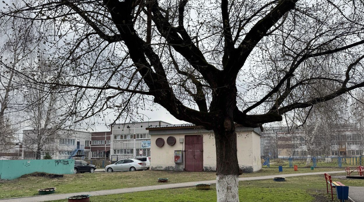 квартира г Новокузнецк р-н Новоильинский ул Новоселов 34 фото 25