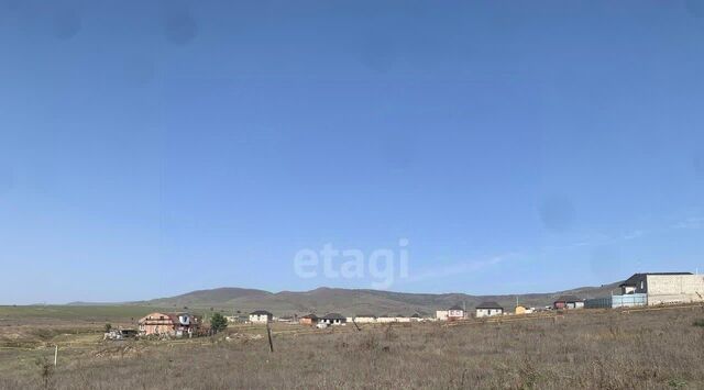 ул Виноградная фото