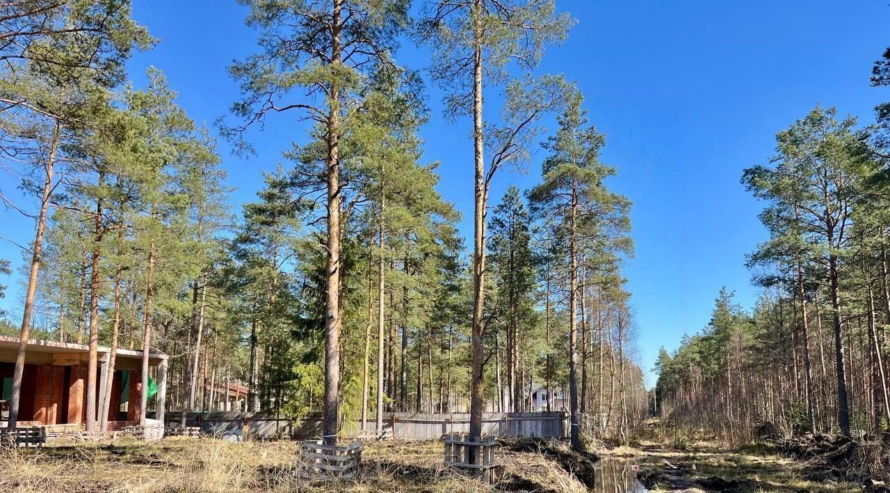земля р-н Всеволожский г Всеволожск ул Ломоносова 111 Ладожская фото 12