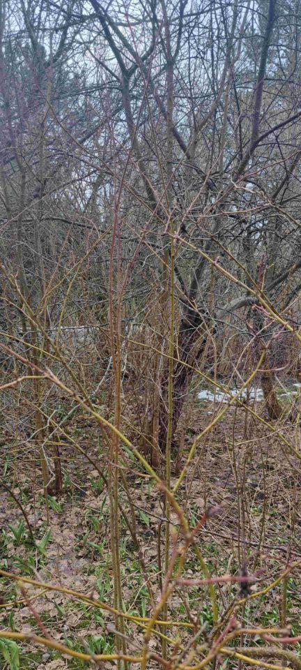 дом городской округ Одинцовский г Голицыно Нижняя улица, СНТ «Маяк» фото 21