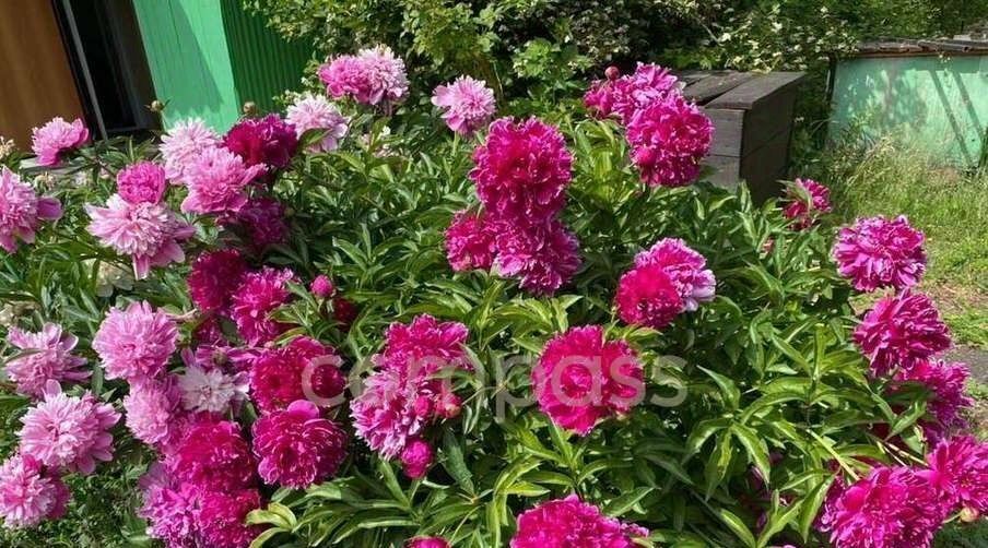 дом г Тюмень р-н Центральный снт Ягодное ул Ягодная 263 фото 12