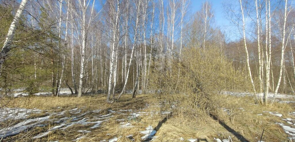 земля городской округ Серпухов д Шатово снт Бобровое фото 2
