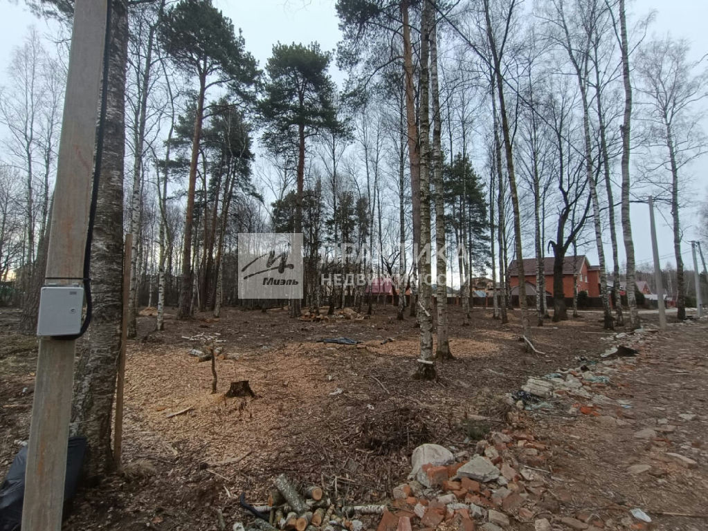 земля городской округ Богородский г Ногинск ул Ясеневая 3 фото 10