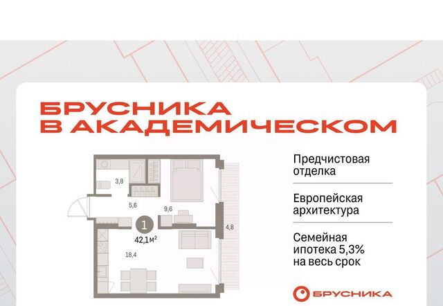 Чкаловская ЖК Брусника в Академическом фото