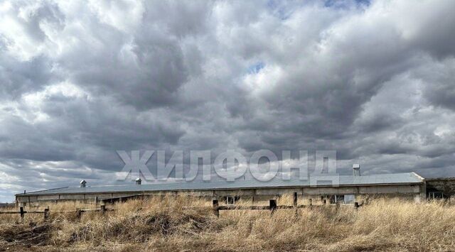 земля р-н Родинский с Родино ул Восточная фото