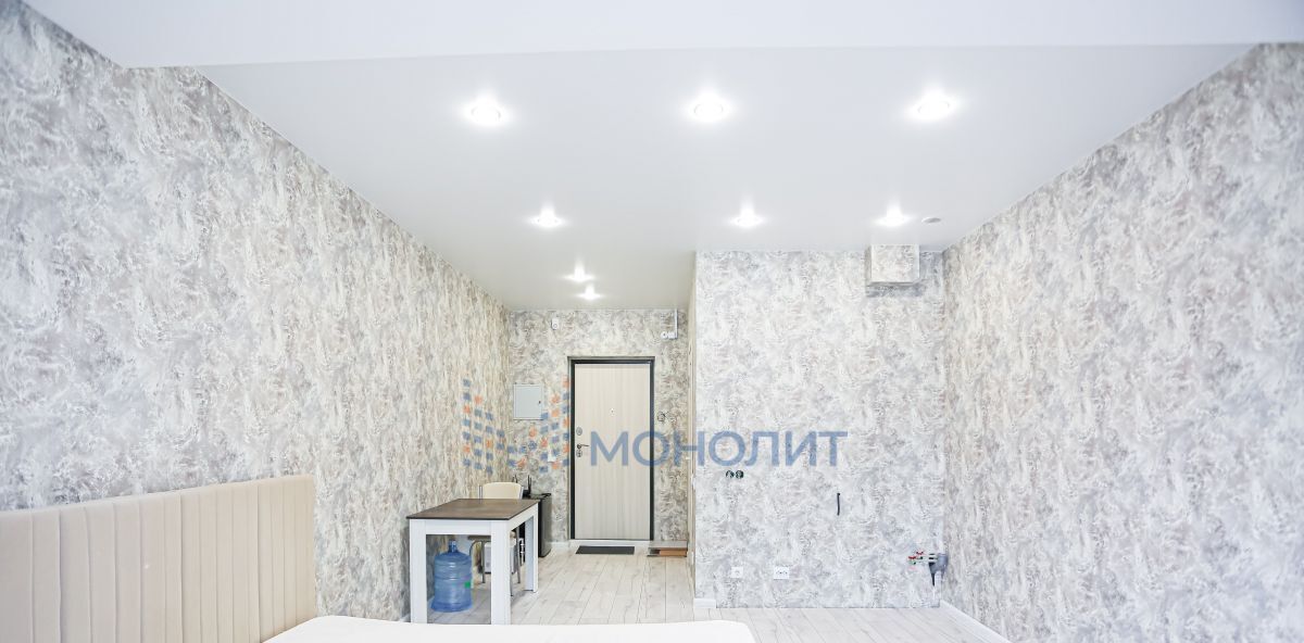 квартира г Нижний Новгород Горьковская ул Родионова 202/1 фото 3