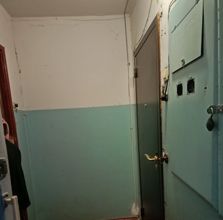 квартира г Нижний Новгород Парк культуры Соцгород мкр Соцгород-1 ул Комсомольская 33 жилрайон фото 2