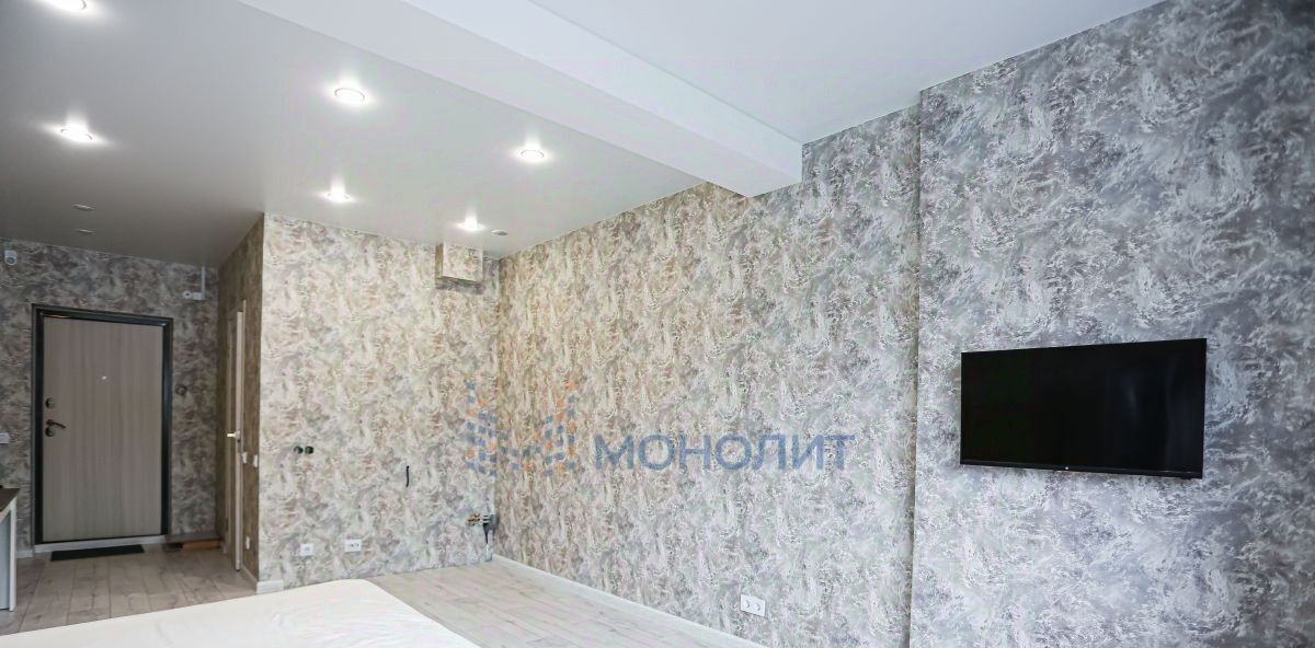квартира г Нижний Новгород Горьковская ул Родионова 202/1 фото 1