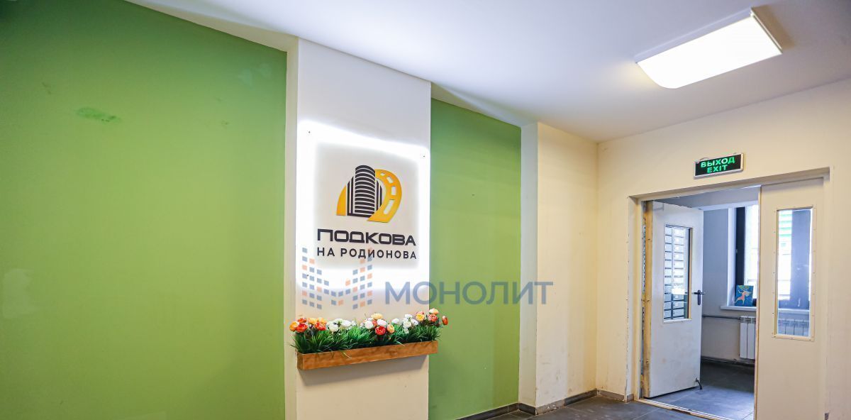 квартира г Нижний Новгород Горьковская ул Родионова 202/1 фото 9