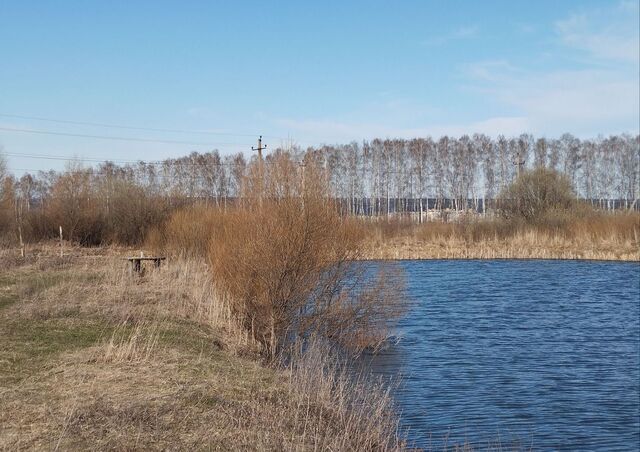 садовое товарищество Русь, Пенза фото