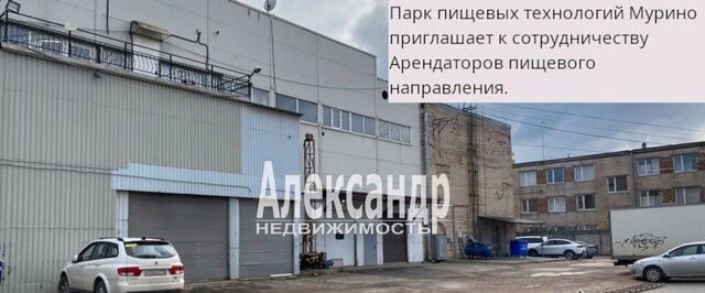 Муринское городское поселение, проезд Центральный фото