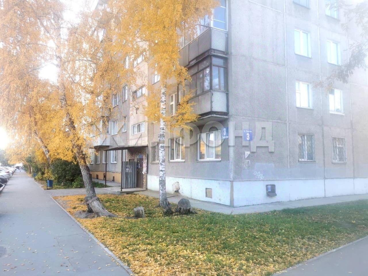 квартира г Новосибирск р-н Ленинский ул Танкистов 3 фото 15