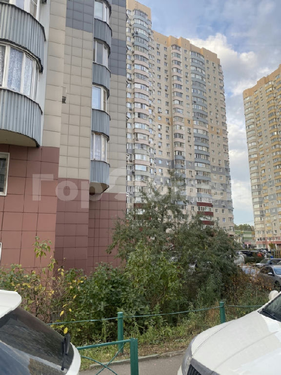 квартира г Балашиха ул Демин луг 4 Новогиреево фото 29